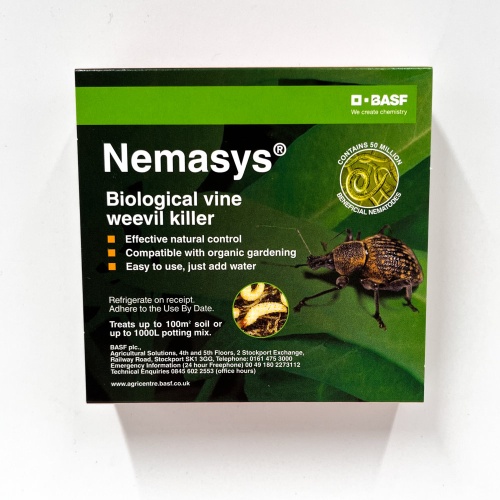 Nemasys Vine Weevil Killer Nematodes - Large Packet, 100m2